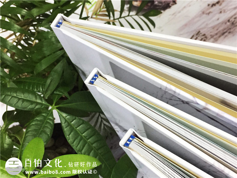 同學(xué)畢業(yè)紀(jì)念冊(cè)設(shè)計(jì) 注重紀(jì)念冊(cè)設(shè)計(jì)方案 提升紀(jì)念冊(cè)設(shè)計(jì)水平第2張-宣傳畫冊(cè),紀(jì)念冊(cè)設(shè)計(jì)制作-價(jià)格費(fèi)用,文案模板,印刷裝訂,尺寸大小