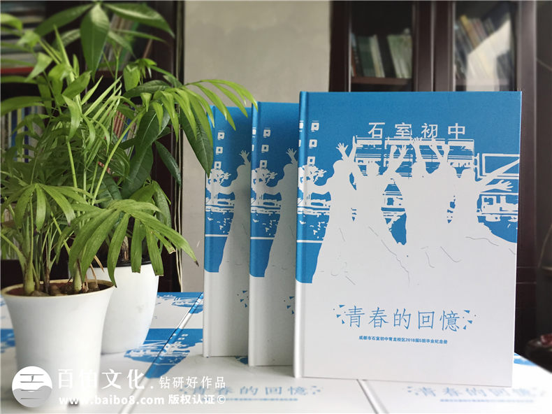 畢業(yè)紀(jì)念冊設(shè)計(jì)-提升專業(yè)策劃和方案設(shè)計(jì)的能力