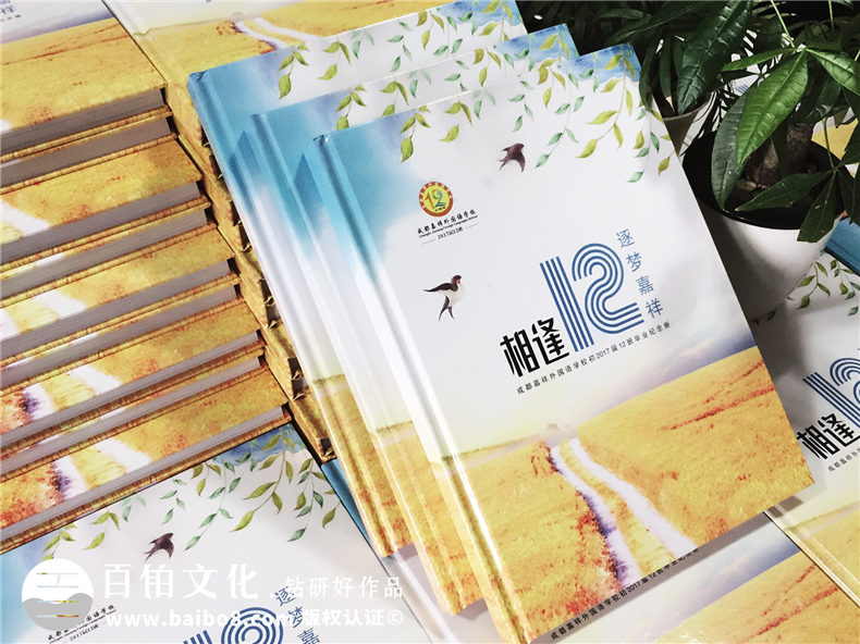 專(zhuān)注紀(jì)念冊(cè)設(shè)計(jì) 必備專(zhuān)業(yè)的紀(jì)念冊(cè)設(shè)計(jì)公司 重視專(zhuān)業(yè)地設(shè)計(jì)和制作第1張-宣傳畫(huà)冊(cè),紀(jì)念冊(cè)設(shè)計(jì)制作-價(jià)格費(fèi)用,文案模板,印刷裝訂,尺寸大小