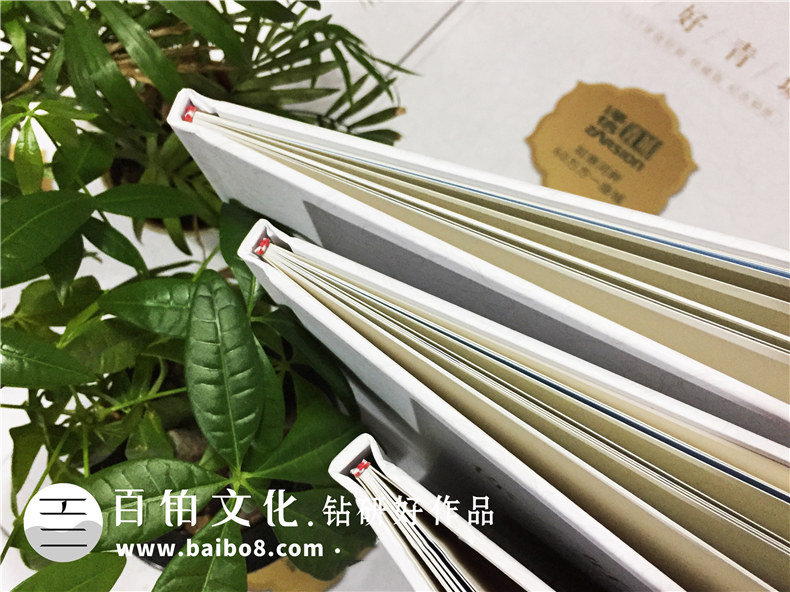 澤信控股企業(yè)紀(jì)念冊郵冊定制-公司宣傳畫冊設(shè)計(jì)