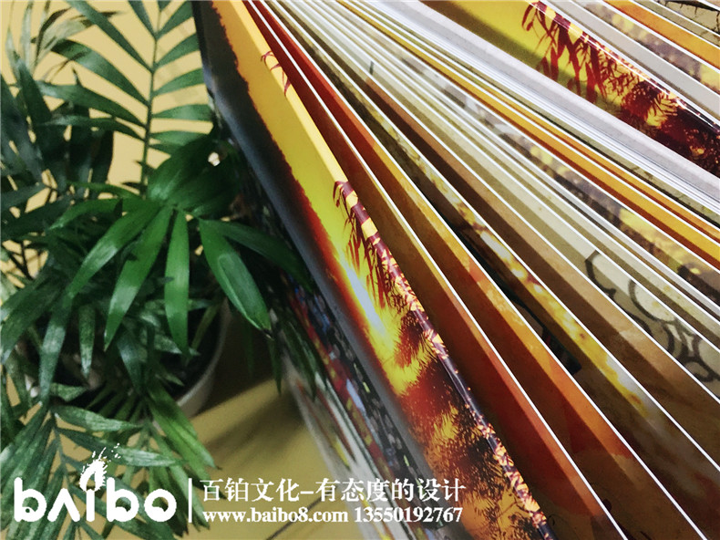 成都機(jī)電學(xué)院電862班畢業(yè)三十周年聚會(huì)紀(jì)念冊
