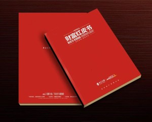 真正高端的房地產(chǎn)企業(yè)宣傳畫(huà)冊(cè)設(shè)計(jì) 擺脫創(chuàng)意文案 廣告照樣牛逼！