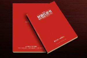 真正高端的房地產(chǎn)企業(yè)宣傳畫冊設(shè)計(jì) 擺脫創(chuàng)意文案 廣告照樣牛逼！