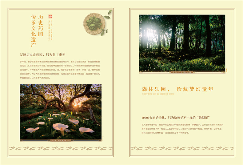 別墅宣傳冊(cè)設(shè)計(jì)方案-中國(guó)風(fēng)房地產(chǎn)樓盤(pán)畫(huà)冊(cè)設(shè)計(jì)怎么做