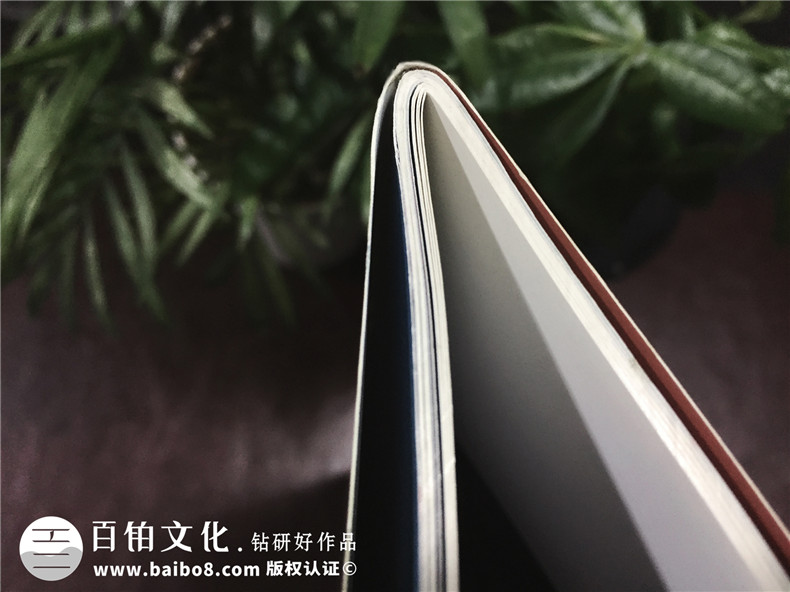 成都登特義齒-企業(yè)期刊畫冊設(shè)計(jì)-雜志制作