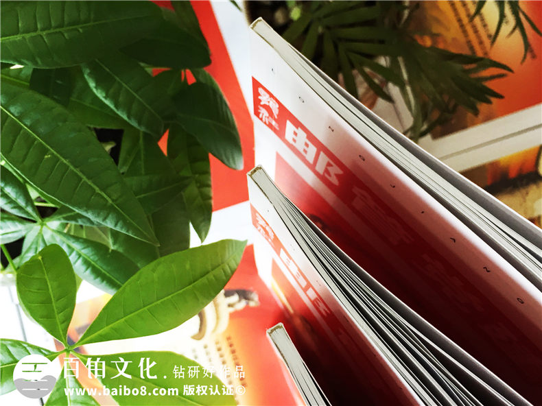 黑龍江郵管局黨建活動期刊設(shè)計-黨建紀念冊制作