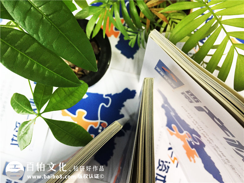 創(chuàng)意雜志版式設(shè)計(jì),經(jīng)典公司雜志內(nèi)頁,目錄排版