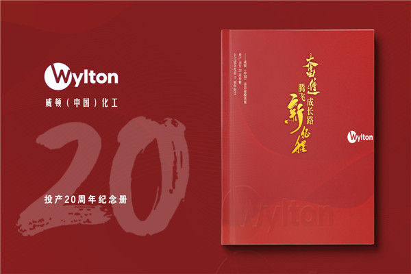 化工企業(yè)20周年紀(jì)念冊(cè)設(shè)計(jì)-公司整合發(fā)展大事記畫(huà)冊(cè)