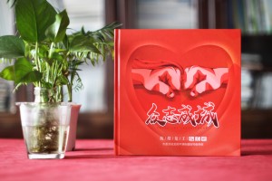 抗疫故事專題回憶錄畫冊-設(shè)計(jì)記錄街道辦抗疫復(fù)工歷史的專輯宣傳冊