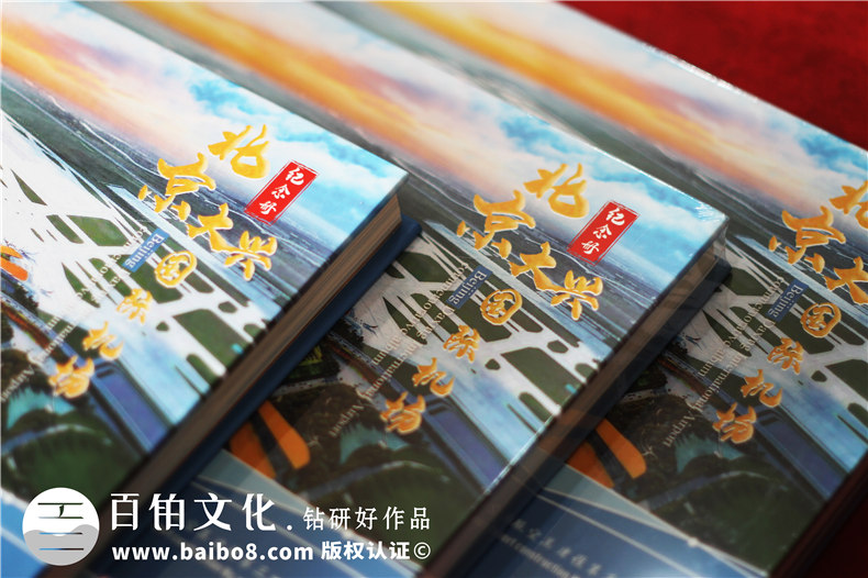 項(xiàng)目建設(shè)收官驗(yàn)收回顧紀(jì)念相冊(cè)-項(xiàng)目竣工匯報(bào)畫(huà)冊(cè)