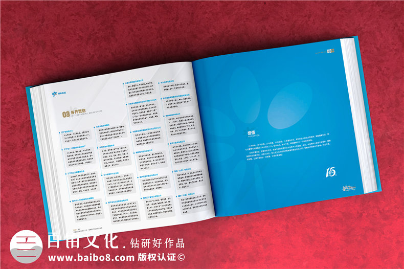 公司周年紀念畫冊排版-集團成立十五周年圖畫冊設(shè)計