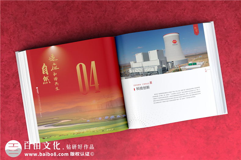 電力公司發(fā)電廠18周年慶畫冊(cè)-歷年來發(fā)展影集及紀(jì)念相冊(cè)設(shè)計(jì)排版