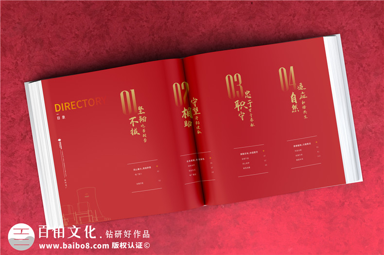 電力公司發(fā)電廠18周年慶畫冊(cè)-歷年來發(fā)展影集及紀(jì)念相冊(cè)設(shè)計(jì)排版