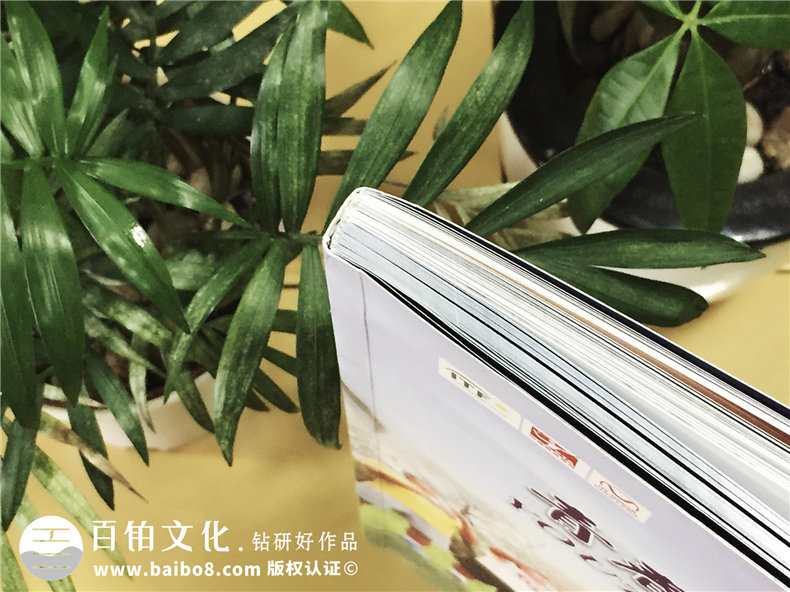 青少年網(wǎng)球大師賽紀(jì)念畫冊-團(tuán)體活動紀(jì)念冊定制