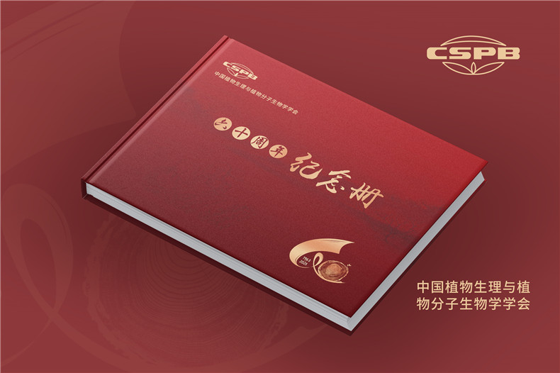 周年紀(jì)念畫(huà)冊(cè)設(shè)計(jì)-注重紀(jì)念畫(huà)冊(cè)模板設(shè)計(jì)