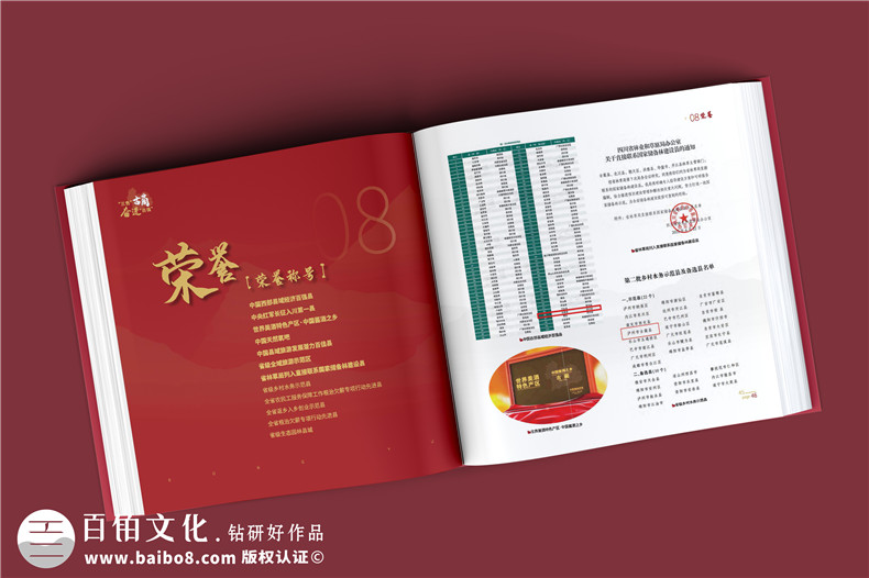政府周年紀(jì)念冊-政府單位年度經(jīng)濟(jì)建設(shè)工作掠影總結(jié)畫冊