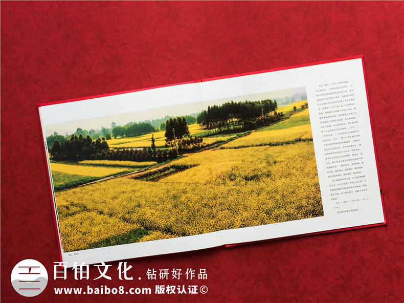 周年校慶紀(jì)念畫冊制作 設(shè)計(jì)學(xué)校校慶畫冊記錄那些年母校的崢嶸歲月！