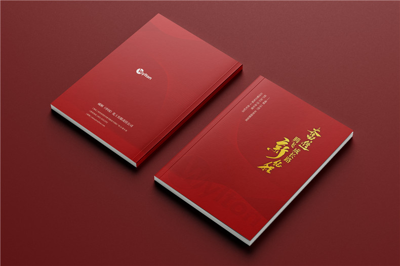 化工企業(yè)20周年紀(jì)念冊設(shè)計-公司整合發(fā)展大事記畫冊
