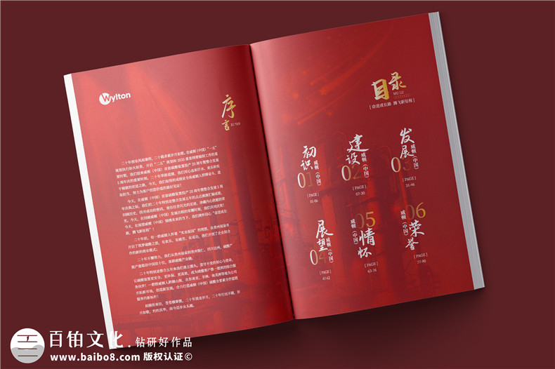 化工企業(yè)20周年紀(jì)念冊設(shè)計-公司整合發(fā)展大事記畫冊