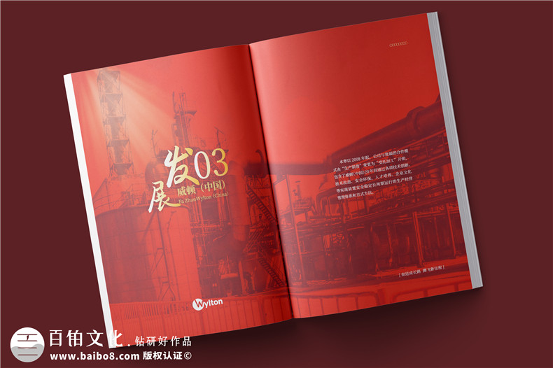 化工企業(yè)20周年紀(jì)念冊設(shè)計-公司整合發(fā)展大事記畫冊