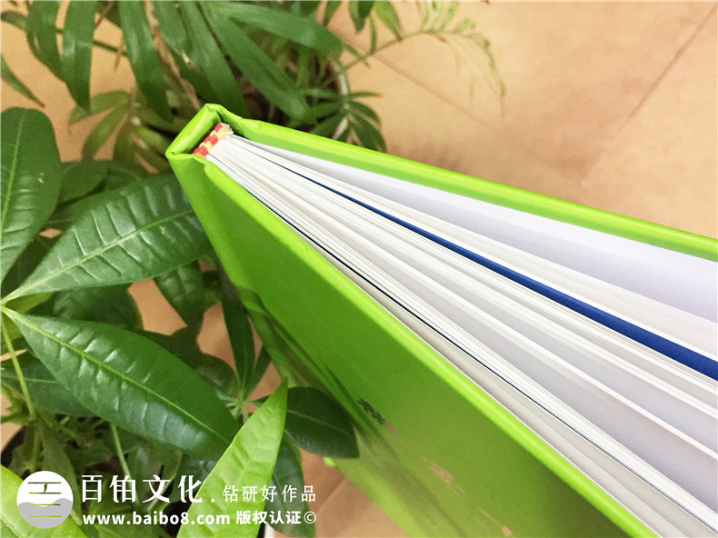 微愛助學(xué)-企業(yè)培訓(xùn)紀(jì)念冊(cè)-公司活動(dòng)紀(jì)念冊(cè)