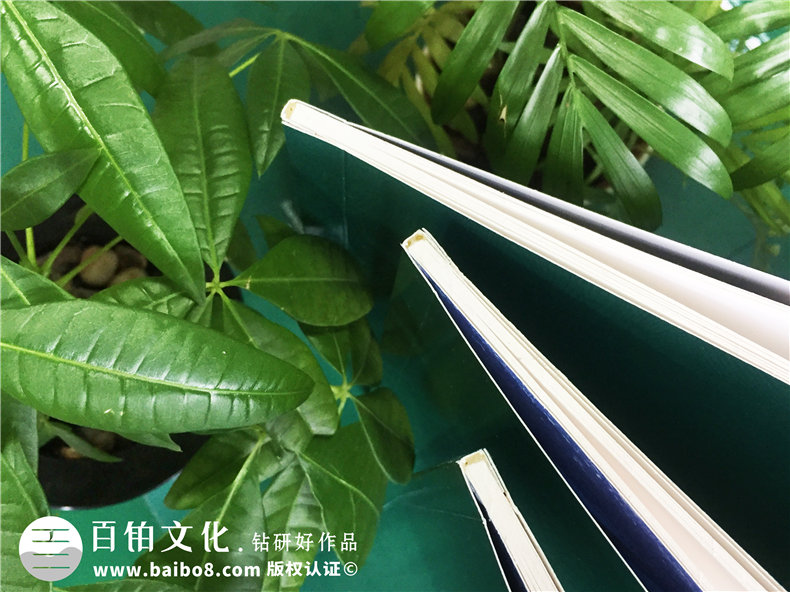 公司培訓紀念冊-企業(yè)活動相冊制作-碧桂園地產(chǎn)