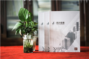 財(cái)務(wù)審計(jì)公司宣傳冊(cè)設(shè)計(jì)-工程造價(jià)管理及稅務(wù)咨詢資產(chǎn)評(píng)估企業(yè)畫冊(cè)