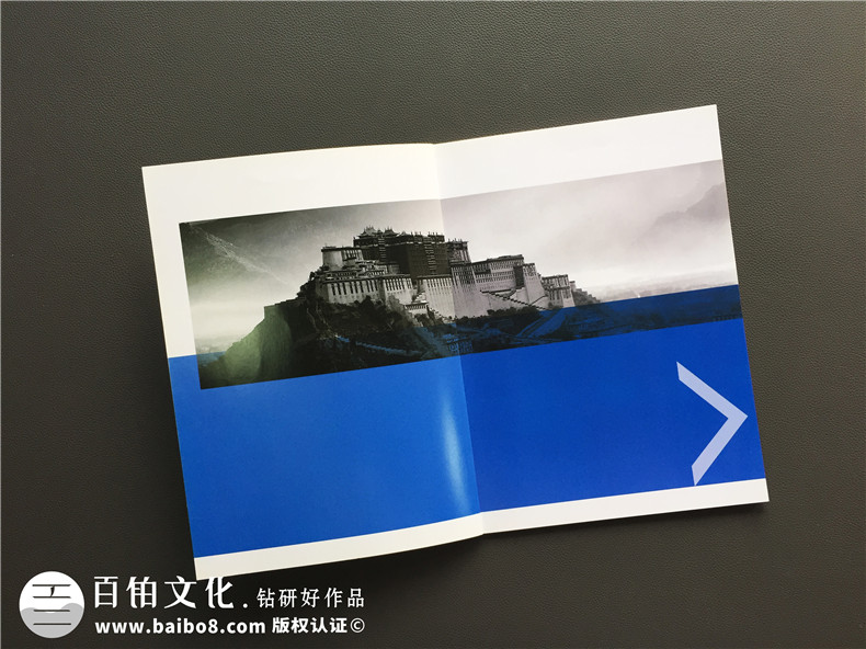資產管理交易企業(yè)畫冊設計制作-成都網絡交易平臺宣傳畫冊定制公司