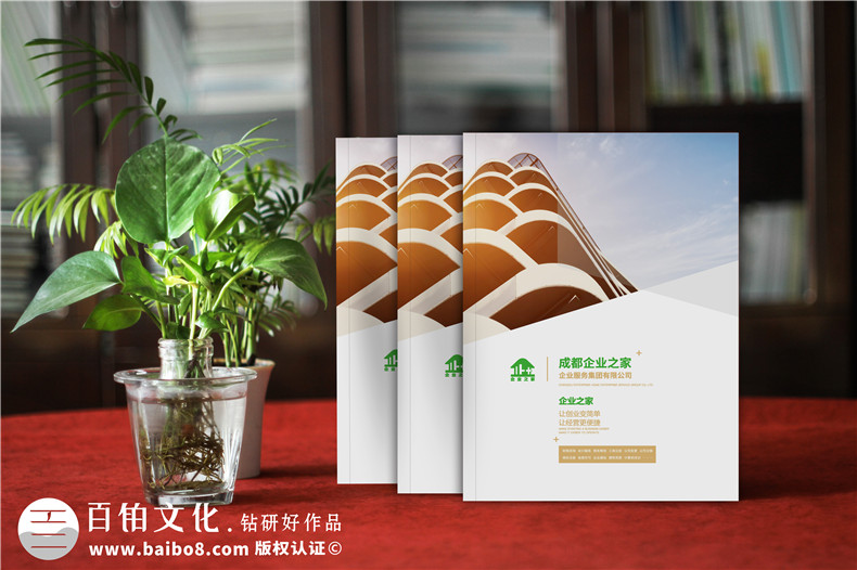 企業(yè)服務(wù)公司宣傳冊制作-財(cái)稅咨詢會(huì)計(jì)服務(wù)公司畫冊設(shè)計(jì)