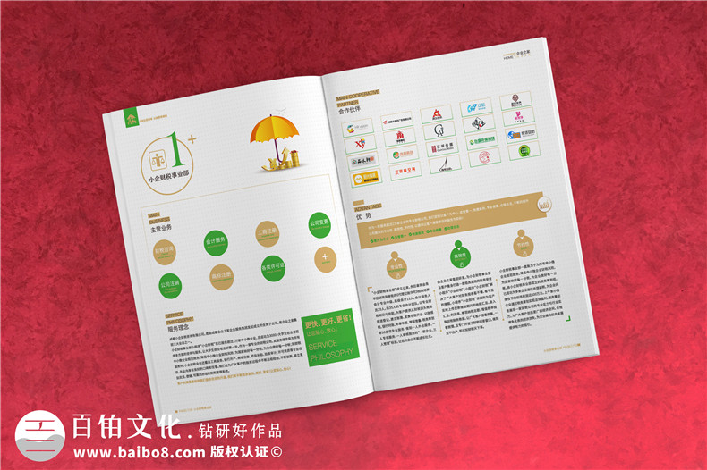 企業(yè)服務(wù)公司宣傳冊制作-財(cái)稅咨詢會(huì)計(jì)服務(wù)公司畫冊設(shè)計(jì)