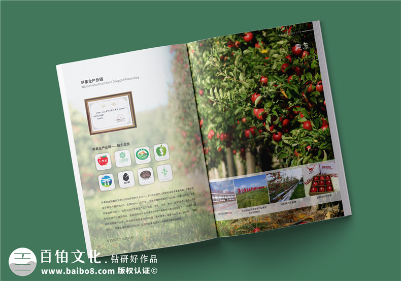 農業(yè)宣傳冊制作-農業(yè)科技宣傳冊設計推廣農業(yè)產品
