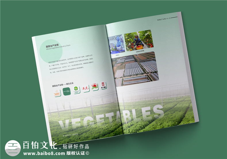 宣傳冊定制與設計-農業(yè)宣傳冊設計要滿足什么第3張-宣傳畫冊,紀念冊設計制作-價格費用,文案模板,印刷裝訂,尺寸大小