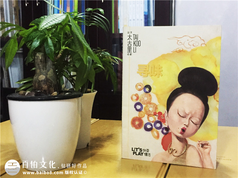 商業(yè)街區(qū)導(dǎo)視宣傳畫冊(cè)-商業(yè)廣場介紹畫冊(cè)