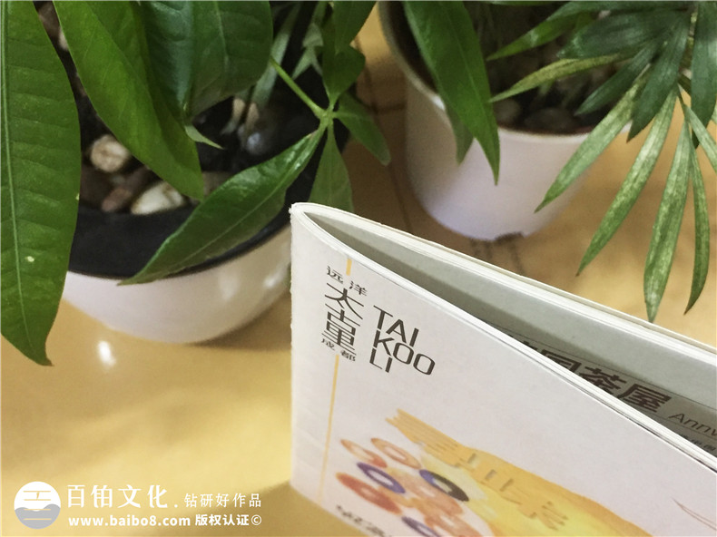 商業(yè)街區(qū)導(dǎo)視宣傳畫冊(cè)-商業(yè)廣場介紹畫冊(cè)