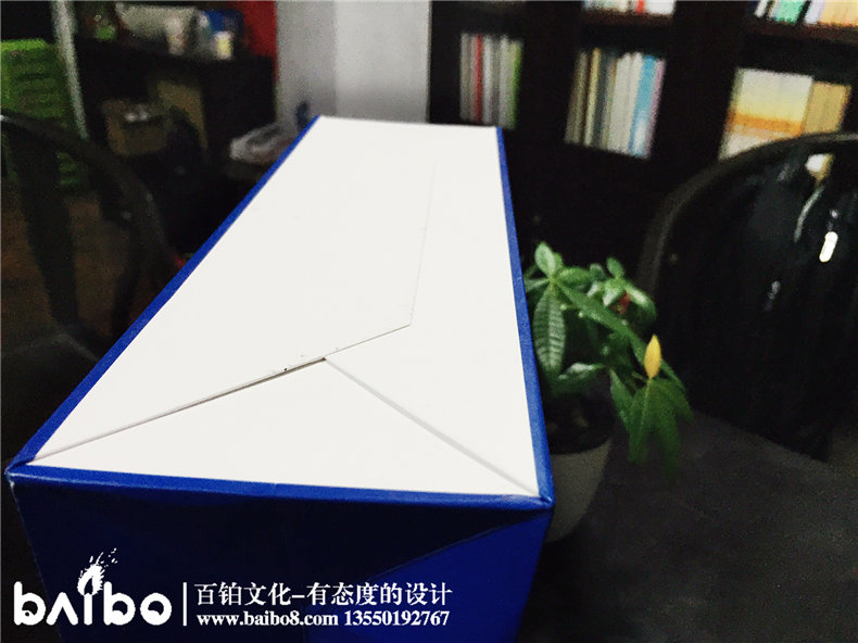 成都公司宣傳畫(huà)冊(cè)設(shè)計(jì)-企業(yè)手提袋定制