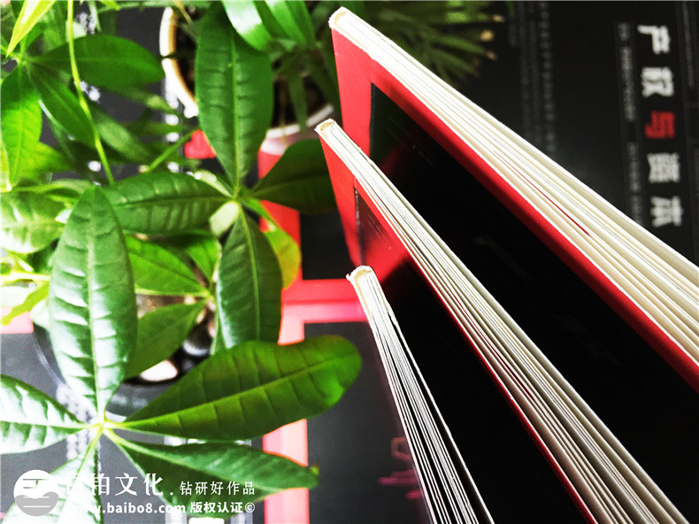 《產(chǎn)權與資本》企業(yè)內(nèi)刊設計-公司形象畫冊