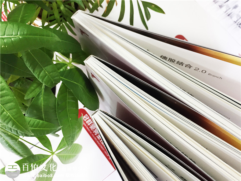 服務(wù)行業(yè)畫冊設(shè)計 休閑服務(wù)業(yè)宣傳冊設(shè)計主題、思路