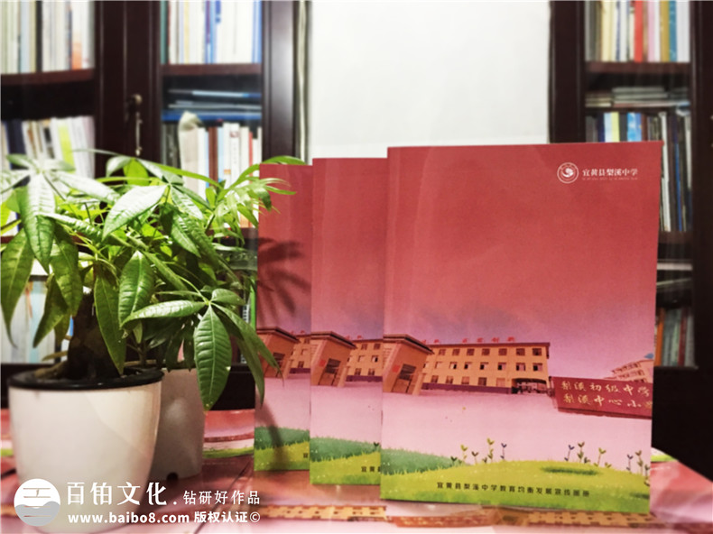 教育培訓(xùn)機(jī)構(gòu)宣傳冊(cè)設(shè)計(jì)-學(xué)校畫冊(cè)制作