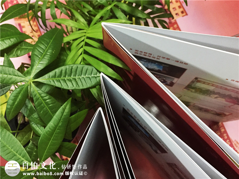 教育培訓(xùn)機(jī)構(gòu)宣傳冊(cè)設(shè)計(jì)-學(xué)校畫冊(cè)制作