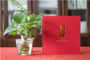 領(lǐng)導(dǎo)視察工作參觀影集相冊制作-黨政領(lǐng)導(dǎo)出訪調(diào)研活動紀(jì)念畫冊設(shè)計(jì)