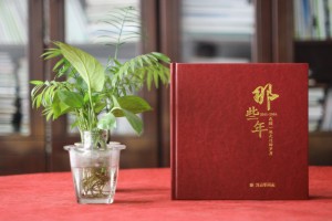 領(lǐng)導(dǎo)新晉升職的工作回憶紀(jì)念畫冊怎么設(shè)計(jì)