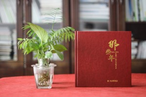領(lǐng)導(dǎo)新晉升職的工作回憶紀(jì)念畫(huà)冊(cè)怎么設(shè)計(jì)