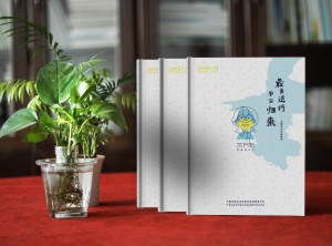 制作紀(jì)念抗疫英雄的相冊-送支援醫(yī)療隊(duì)平安歸來個(gè)人或愛人疫情影集