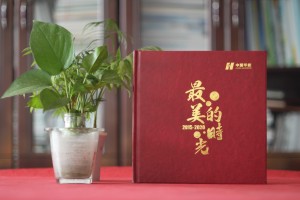 供電局女領(lǐng)導(dǎo)調(diào)動紀(jì)念影集-發(fā)電力公司領(lǐng)導(dǎo)退休回憶畫冊怎么設(shè)計(jì)