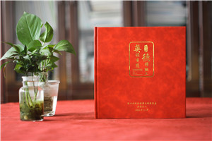 領(lǐng)導(dǎo)工作影集-辦公室主任退休相冊設(shè)計(jì)-組工領(lǐng)導(dǎo)個人畫冊
