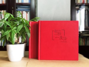 結婚周年紀念冊定制-相愛二十年相冊