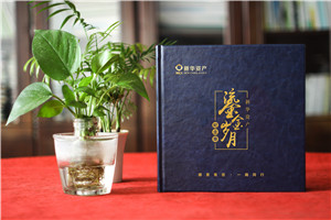 時光影像，情誼永恒——資產(chǎn)管理公司領(lǐng)導(dǎo)調(diào)任留念相冊