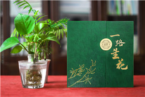 【高端定制?領(lǐng)袖印記】精裝領(lǐng)導(dǎo)紀(jì)念冊 —— 鐫刻時光，鑄就榮耀