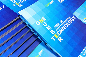 企業(yè)級畫冊設計 選擇專業(yè)的平面設計公司很重要！