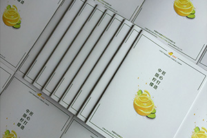 公司宣傳彩頁制作 怎么提升企業(yè)彩頁設(shè)計水平？